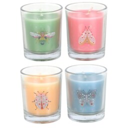 Floral Bug Mandarin  Bergamot Candle Set - Multicolor - thumbnail 5