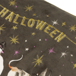 Halloween Pawty Embroidered Velvet Feather Filled Cushion 50 x 30cm - Multi - thumbnail 5