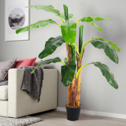 Realistic Banana Artificial Tree 3 Trunk in Black Planter - Green - thumbnail 5