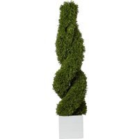 Cypress Spiral Tree - Green - image 1