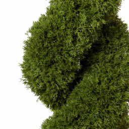 Cypress Spiral Tree - Green - thumbnail 2