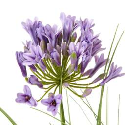 Purple Agapanthus Artificial Plant Plastic Pot Not Included - Green - thumbnail 3