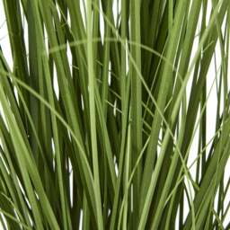 Purple Agapanthus Artificial Plant Plastic Pot Not Included - Green - thumbnail 5