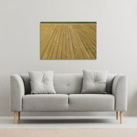 straw bales of wheat lying on harvested field Canvas Print - Yellow / 31cm / 41cm