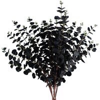 Pack of 6 x Black Eucalyptus Foliage Stem -  Black Eucalyptus