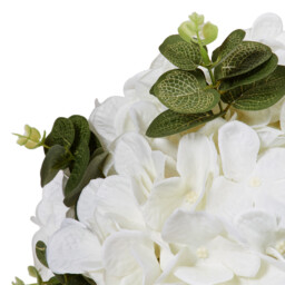 Hydrangea & Eucalyptus Arrangement - White - thumbnail 2