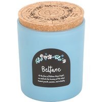 Wheel of The Year Scented Jar Candle - Orange Blossom / Orange Blossom