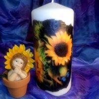 Pillar Candle Sunflower - White / 6