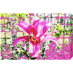 Pink Flower Graphic Art Wrapped on Canvas - Pink / 152cm - thumbnail 2