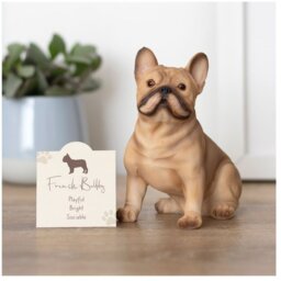 French Bulldog Resin Ornament Playful and Sociable - Brown - thumbnail 5