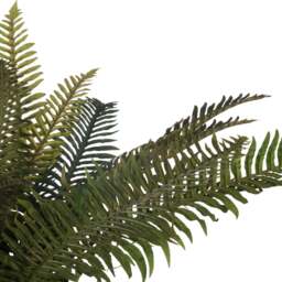 Set of 3 Artificial Fern Bunches - Green - thumbnail 2