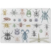 Many Species In Vintage Old Hand Drawn Style Designer Rug - White / 150cm - image 1