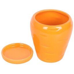 Carrot Shaped Plant Pot with Parsley Seed Balls - Orange - thumbnail 5