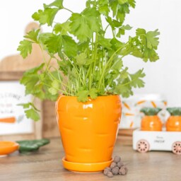 Carrot Shaped Plant Pot with Parsley Seed Balls - Orange - thumbnail 3