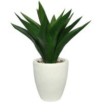 White Botanica Potted Agave Ceramic White - White