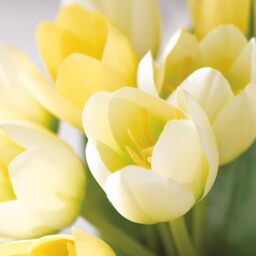 Artificial Antwerp Tulip Flower Arrangement in Goldfish Vase - Yellow - thumbnail 3