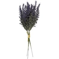 Small Lavender Bundle - Purple