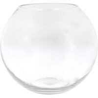 Spherical Shaped Glass Vase - Clear
