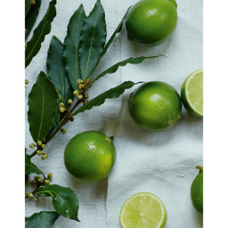 The White Company Lime & Bay Large Candle, No Colour, Size: One Size - thumbnail 2