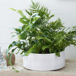 The White Company White Ribbed Ceramic Planter - Large, White, Size: One Size