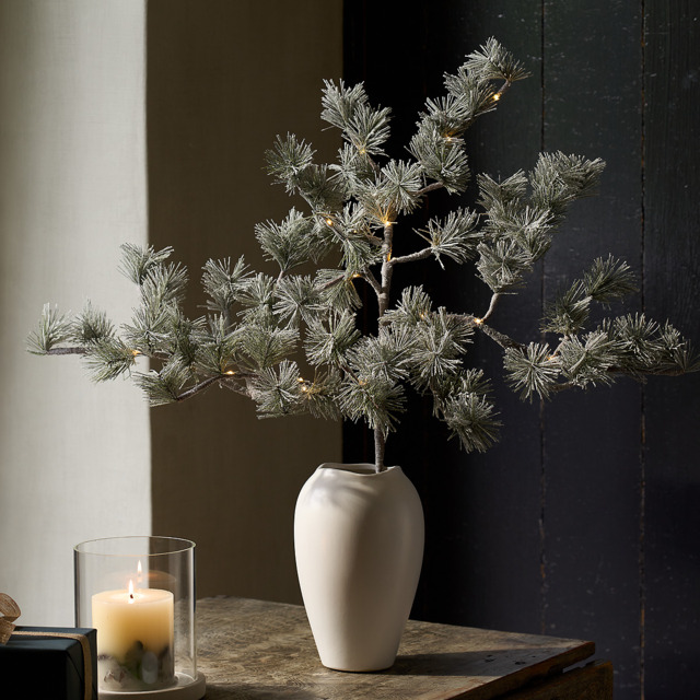 The White Company Pre-Lit Frosted Branch, Green - image 1