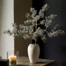 The White Company Pre-Lit Frosted Branch, Green - thumbnail 1