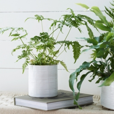 Small White Ribbed Ceramic Planter - crafted in Portugal - image 1