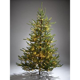 7Ft Fraser Fir Upswept Pre-Lit Mixed Tips Christmas Tree