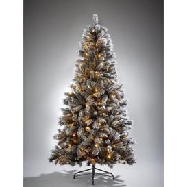 Very Home 7Ft Black Forest Flocked Pre-Lit Christmas Tree