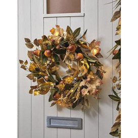 Very Home Natural And Acorn Pre Lit Autumn Wreath - 60 Cm