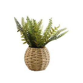 Very Home Faux Green Ferns In Rattan Basket