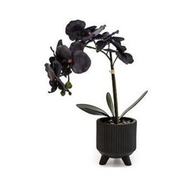 Very Home Faux Orchid In Ceramic Planter