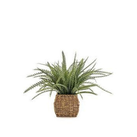 Very Home Faux Green Ferns In Seagrass Basket