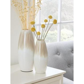 Very Home Set Of 2 Ombre Vases
