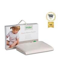 The Little Green Sheep Waterproof Moses Basket / Carrycot Mattress Protector - 30x70cm, One Colour
