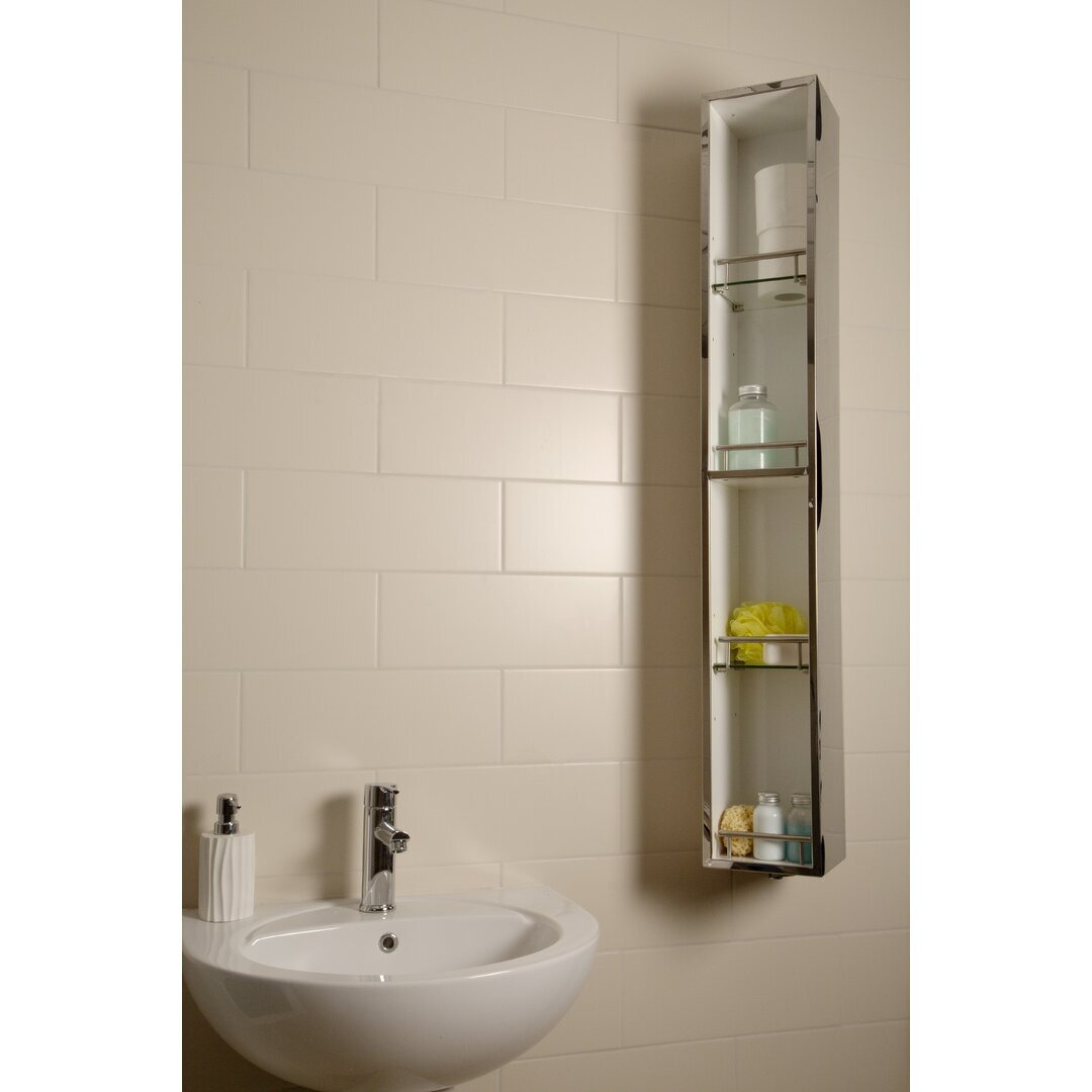 Ottawa 18 x 124.6cm Mirrored Wall Mounted Tall Bathroom Cabinet
