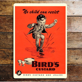 Birds Custard No Child Can Resist Puddle Metal Wall Décor