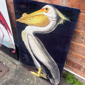 Pelican Bird Botanical Illustration Metal Wall Décor
