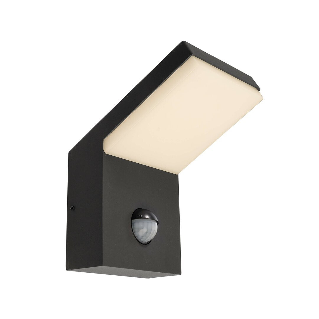 Tucanae LED Outdoor Sconce with Motion Sensor