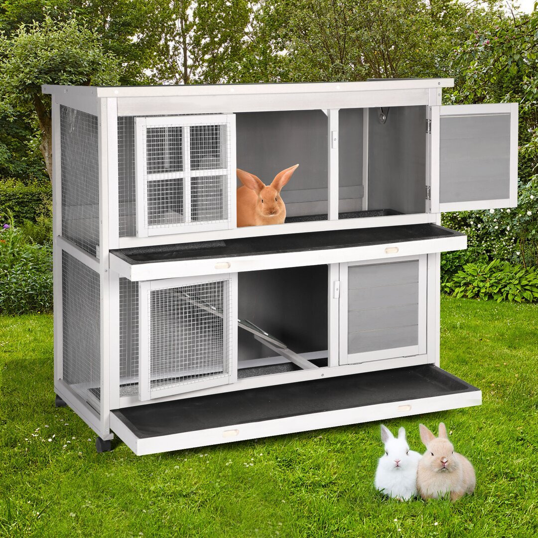 Wooden Rabbit Hutch Outdoor Indoor Rabbit Cage by Wayfair