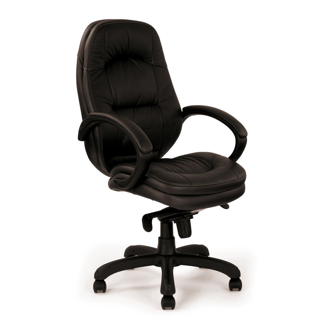 Managers High-Back Executive Chair with Lumbar Support