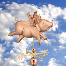 Caldicot Flying Pig Weathervane