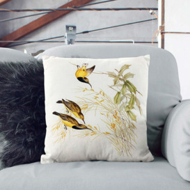 Australian Sunbirds by Elizabeth Gould Cushion with Filling