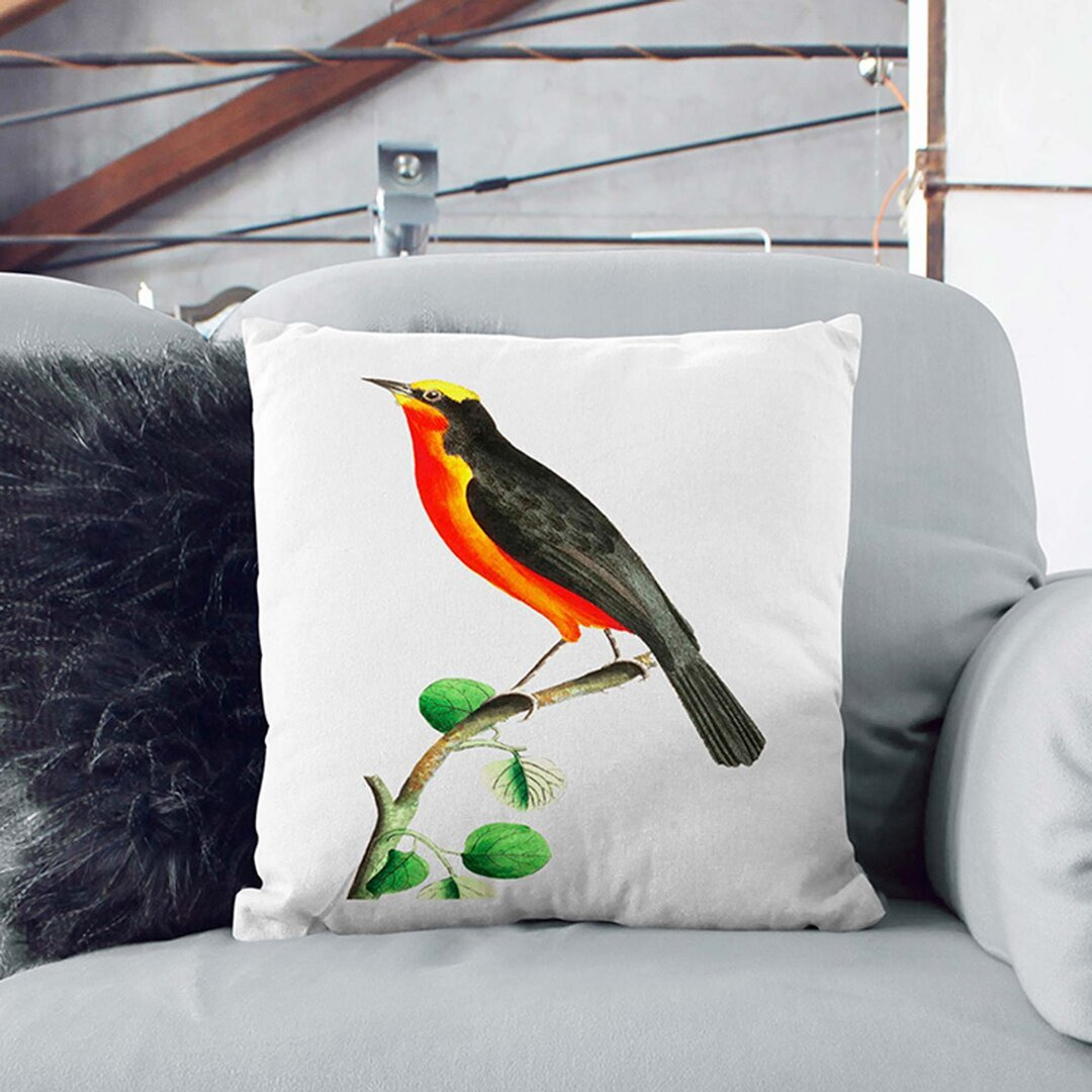 Barbary Shrike Bird by George Shaw Cushion with Filling