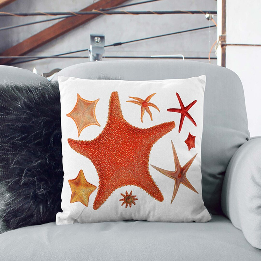 Assortment of Starfish by Albert I Cushion with Filling