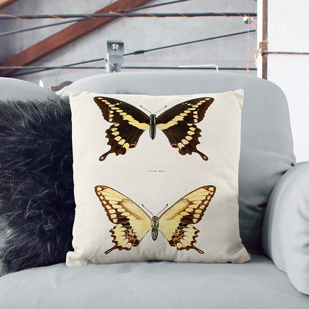 Giant Swallowtail Butterfly by S.F. Denton Cushion with Filling