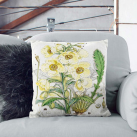 Himalayan Yellow Poppy by W. H. Fitch Cushion with Filling