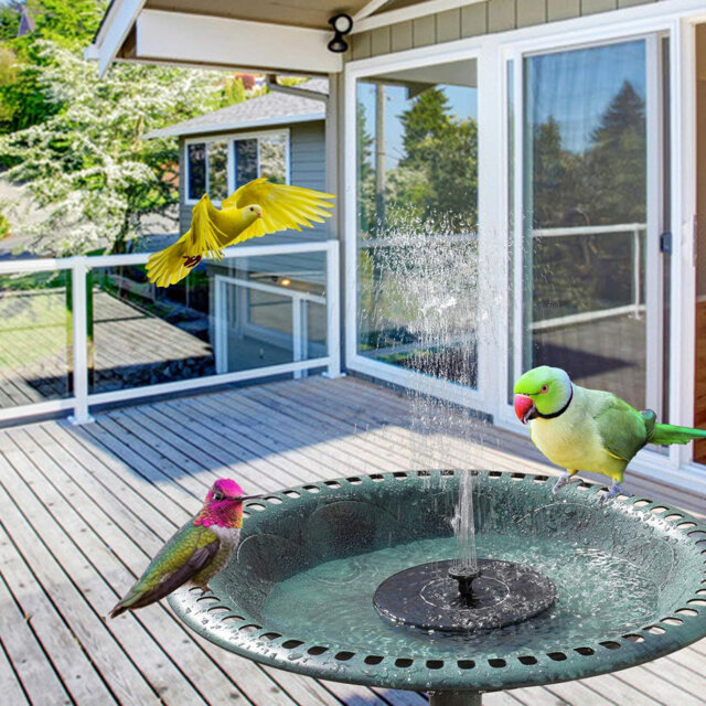 Salome Plastic/Acrylic Fountain Birdbath