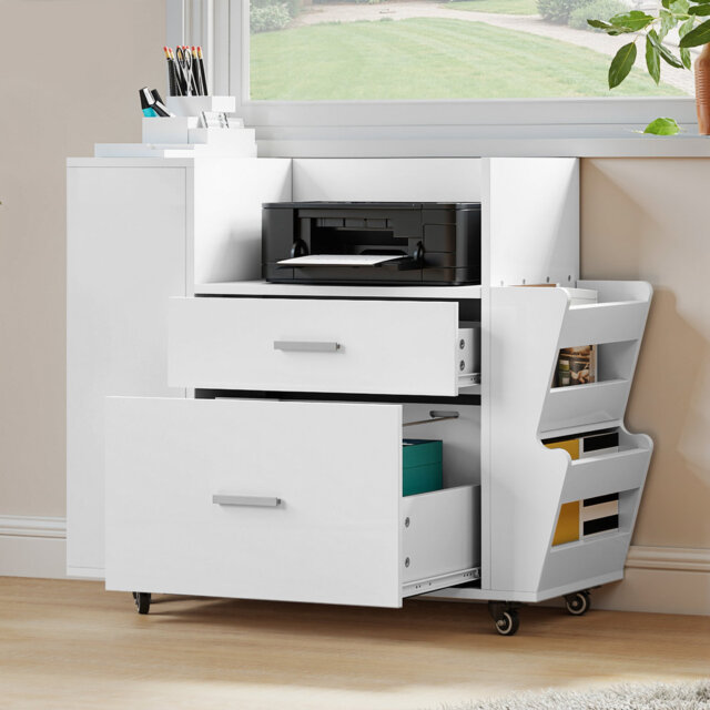 81 cm W 2 -Drawer - Drawer Wheels / Casters included Mobile Filing Cabinet