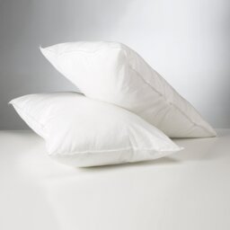 Clelia Polyester/Polyfill Medium Support Pillow